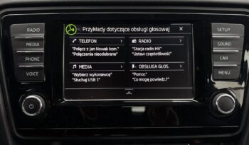 SKODA Octavia  | 4×4 (stały) | Automatyczna | 180 KM | Srebrny full