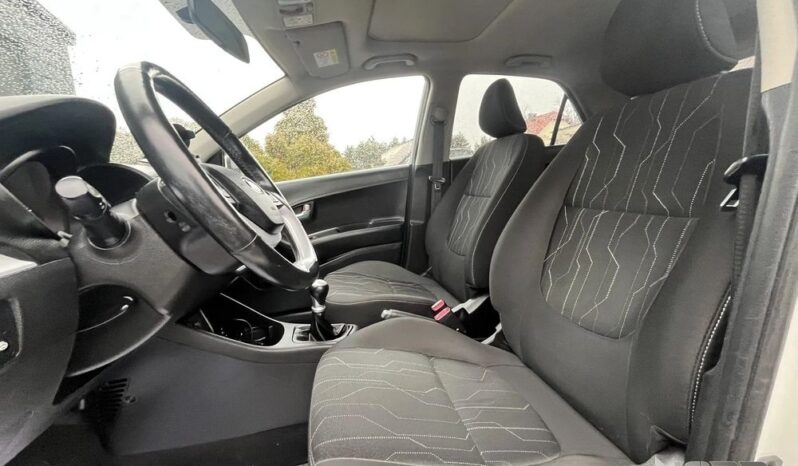 KIA Picanto  | FWD (przód) | Manualna | 85 KM | Biały full