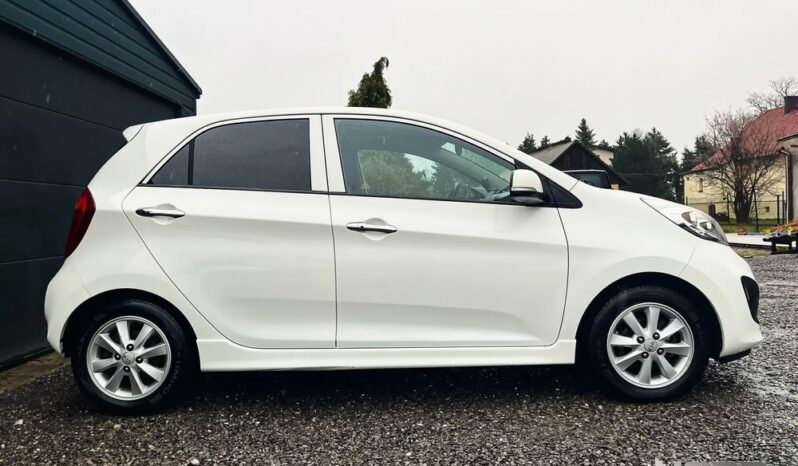 KIA Picanto  | FWD (przód) | Manualna | 85 KM | Biały full