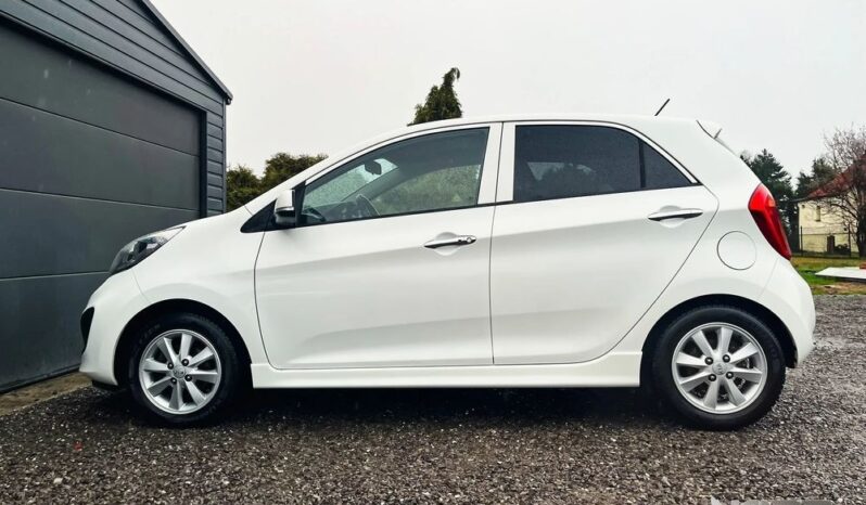 KIA Picanto  | FWD (przód) | Manualna | 85 KM | Biały full