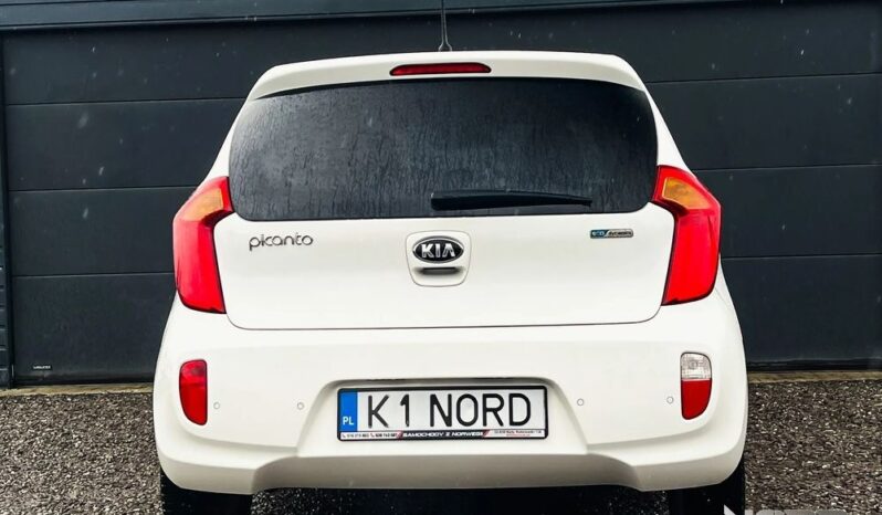 KIA Picanto  | FWD (przód) | Manualna | 85 KM | Biały full