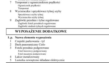 PEUGEOT 208  | FWD (przód) | Manualna | 82 KM | Szary full