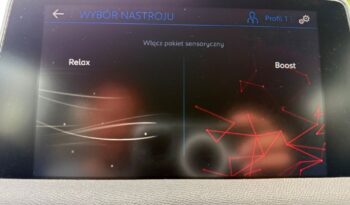 PEUGEOT 3008  | FWD (przód) | Automatyczna | 130 KM | Biały full