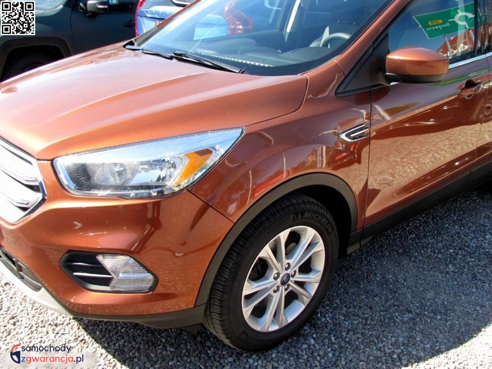 Ford Escape  | 4X4 (Doł. Automatycznie) | Automatyczna | 180 Km | Brązowy