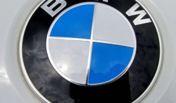 BMW X6 M | 4×4 (doł. automatycznie) | Automatyczna | 313 KM | Biały full
