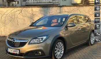 Opel Insignia  | 4X4 (Doł. Automatycznie) | Manualna | 250 Km | Złoty