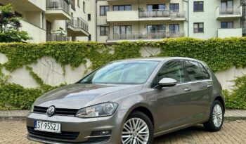 VOLKSWAGEN Golf  | FWD (przód) | Manualna | 86 KM | Szary full