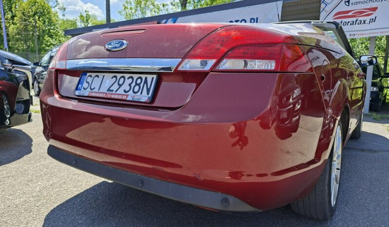 FORD Focus  | FWD (przód) | Manualna | 145 KM | Czerwony full