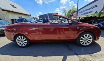 FORD Focus  | FWD (przód) | Manualna | 145 KM | Czerwony full