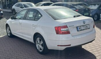 SKODA Octavia  | przedni | Manualna | 115 KM | bialy full