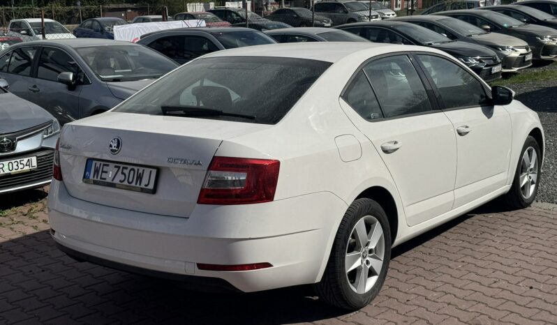 SKODA Octavia  | przedni | Manualna | 115 KM | bialy full