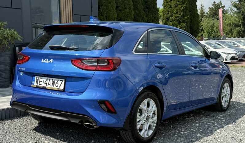KIA Ceed  | przedni | Manualna | 160 KM | Niebieski full
