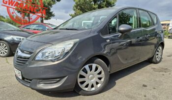 Opel Meriva  | Fwd (Przód) | Manualna | 120 Km | Szary