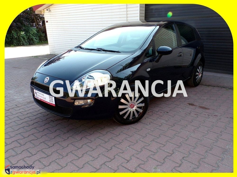 Fiat Punto Evo  | Fwd (Przód) | Manualna | 70 Km | Niebieski