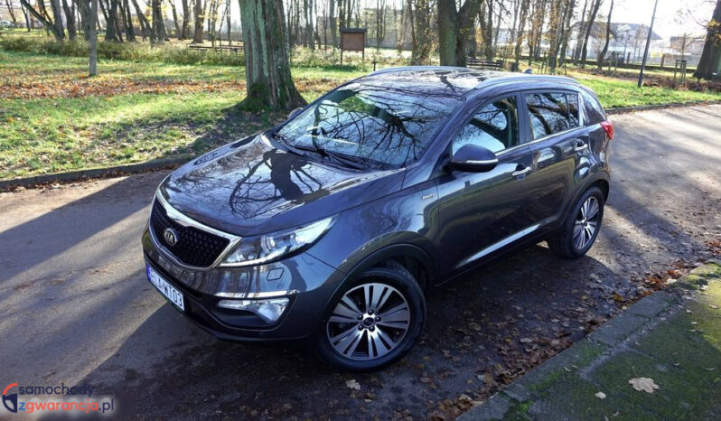 KIA Sportage  | 4×4 (doł. automatycznie) | Automatyczna | 184 KM | Szary