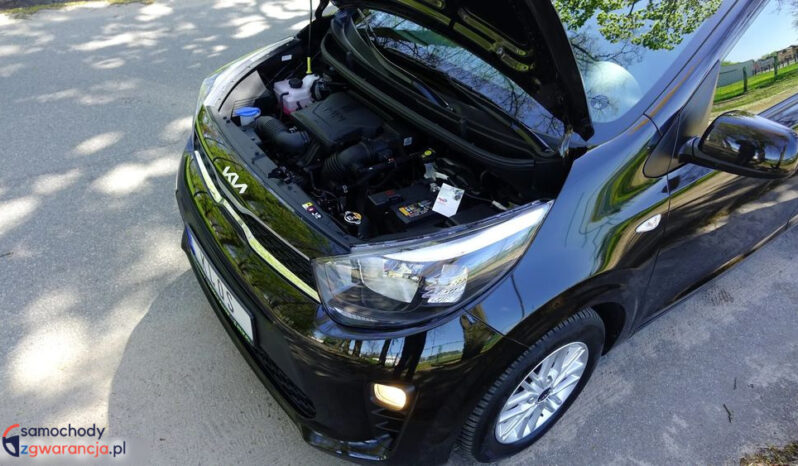 KIA Picanto  | FWD (przód) | Manualna | 67 KM | Czarny full