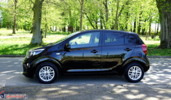 KIA Picanto  | FWD (przód) | Manualna | 67 KM | Czarny full
