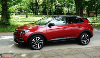 OPEL Grandland X | FWD (przód) | Manualna | 120 KM | Bordowy full