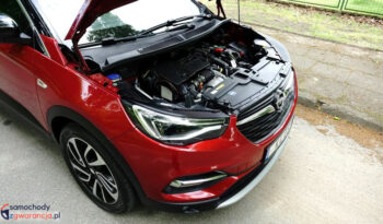 OPEL Grandland X | FWD (przód) | Manualna | 120 KM | Bordowy full