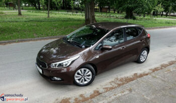 Kia Ceed  | Przedni | Manualna | 135 Km | Brązowy
