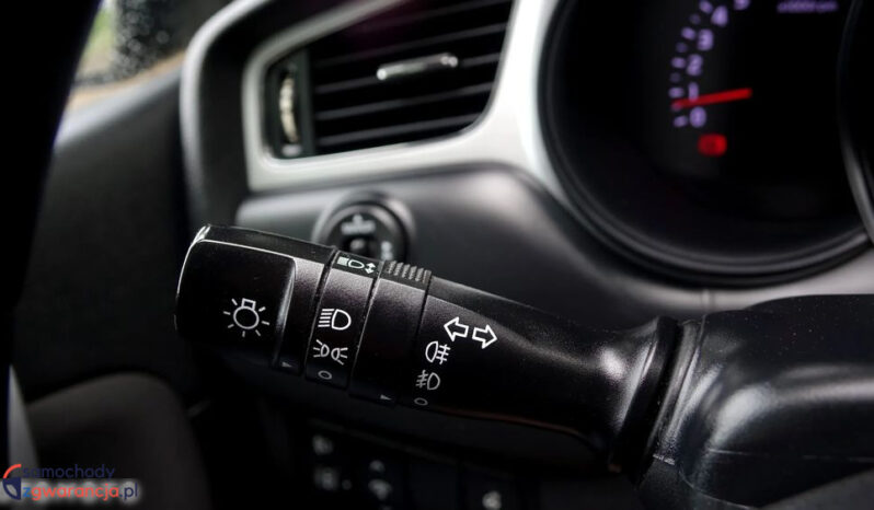 KIA Ceed  | przedni | Manualna | 135 KM | Brązowy full