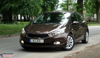 KIA Ceed  | przedni | Manualna | 135 KM | Brązowy full