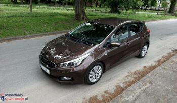 KIA Ceed  | przedni | Manualna | 135 KM | Brązowy full