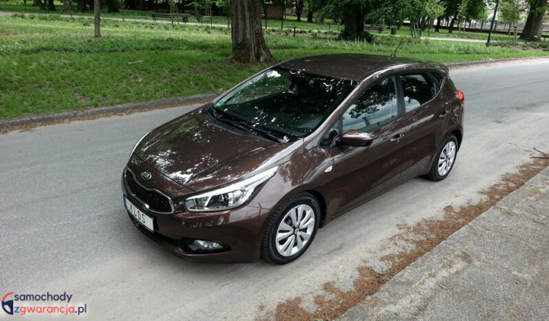 KIA Ceed  | przedni | Manualna | 135 KM | Brązowy full