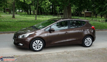 KIA Ceed  | przedni | Manualna | 135 KM | Brązowy full