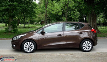 KIA Ceed  | przedni | Manualna | 135 KM | Brązowy full