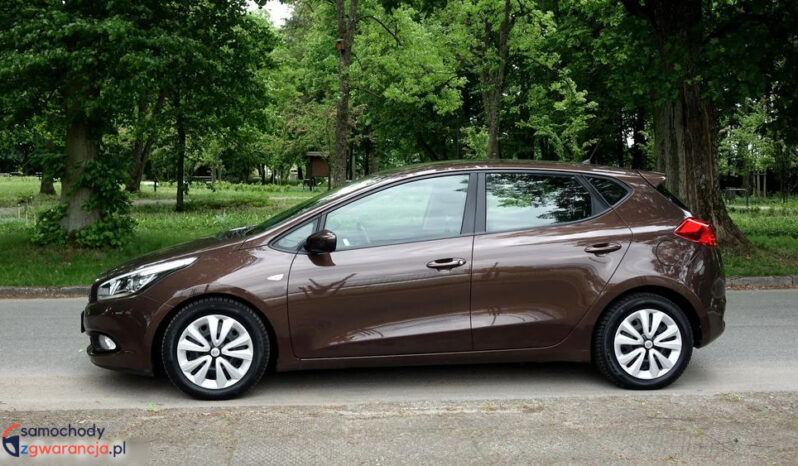 KIA Ceed  | przedni | Manualna | 135 KM | Brązowy full