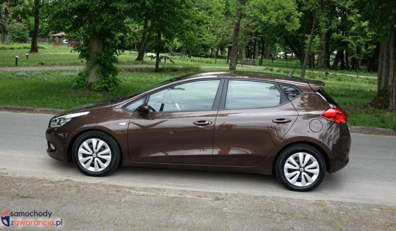KIA Ceed  | przedni | Manualna | 135 KM | Brązowy full