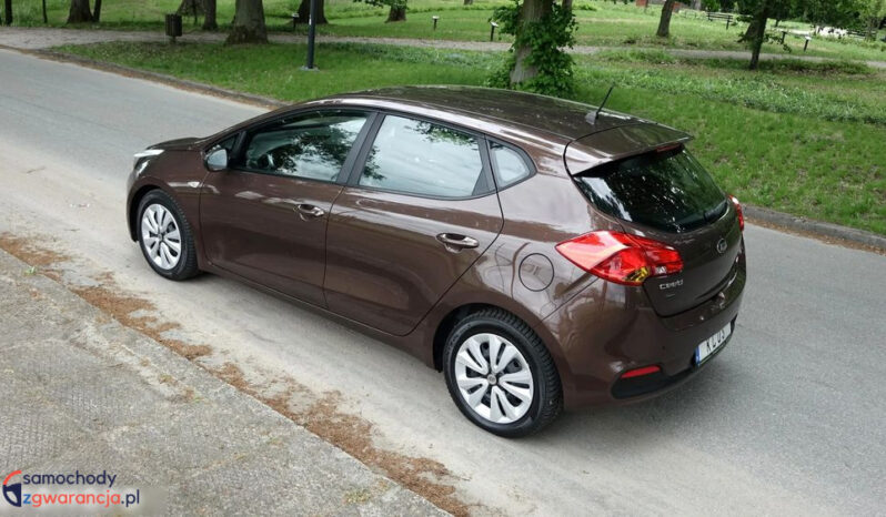 KIA Ceed  | przedni | Manualna | 135 KM | Brązowy full