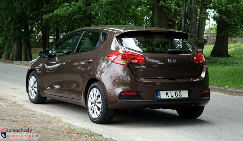 KIA Ceed  | przedni | Manualna | 135 KM | Brązowy full