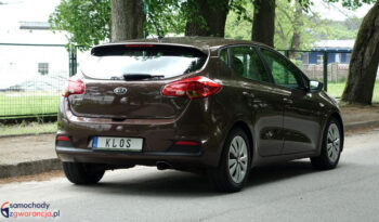 KIA Ceed  | przedni | Manualna | 135 KM | Brązowy full