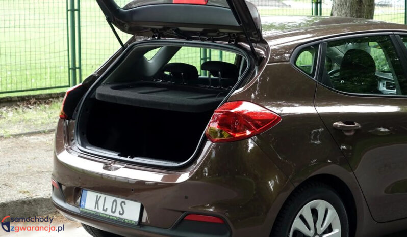 KIA Ceed  | przedni | Manualna | 135 KM | Brązowy full