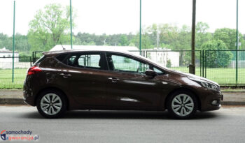 KIA Ceed  | przedni | Manualna | 135 KM | Brązowy full