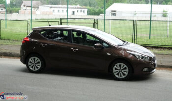 KIA Ceed  | przedni | Manualna | 135 KM | Brązowy full