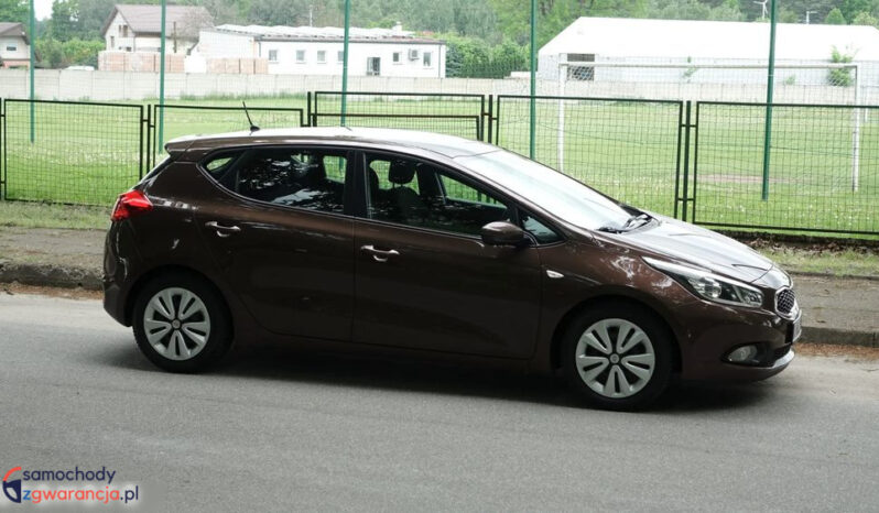 KIA Ceed  | przedni | Manualna | 135 KM | Brązowy full