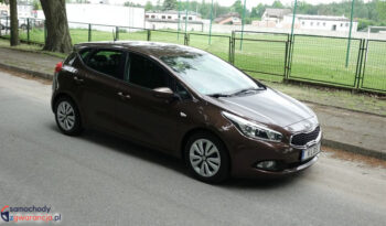 KIA Ceed  | przedni | Manualna | 135 KM | Brązowy full