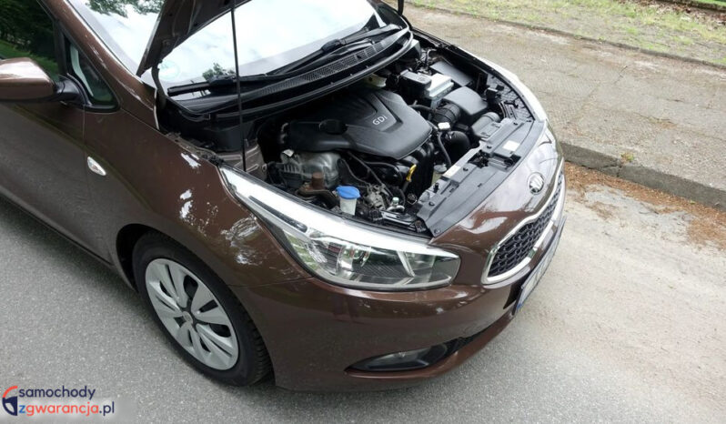 KIA Ceed  | przedni | Manualna | 135 KM | Brązowy full
