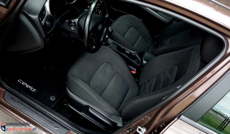 KIA Ceed  | przedni | Manualna | 135 KM | Brązowy full