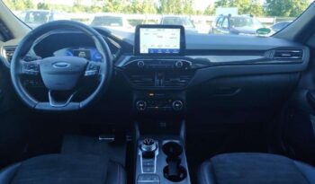 FORD Kuga  | 4×4 (doł. automatycznie) | Automatyczna | 190 KM | Szary full