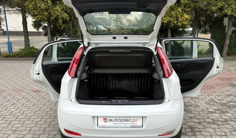 FIAT Punto  | FWD (przód) | Manualna | 69 KM | Biały full