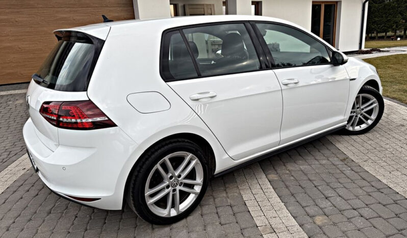 VOLKSWAGEN Golf  | FWD (przód) | Manualna | 184 KM | Biały full