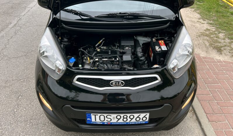 KIA Picanto  | FWD (przód) | Manualna | 69 KM | Czarny full