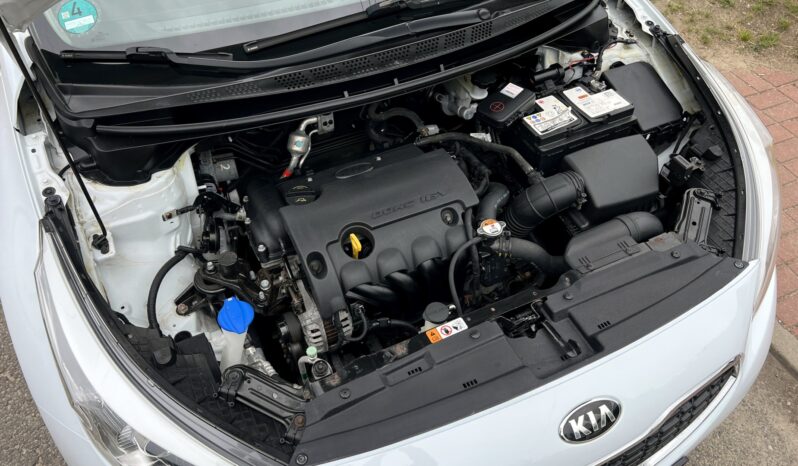 KIA Ceed  | FWD (przód) | Manualna | 100 KM | Biały full