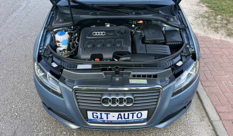 AUDI A3  | FWD (przód) | Manualna | 140 KM | niebieski jasny full