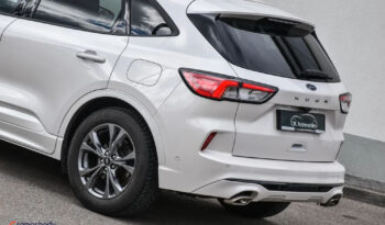 FORD Kuga  | FWD (przód) | Manualna | 150 KM | Biały full