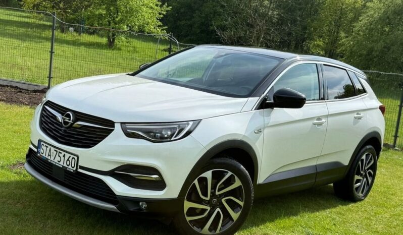 OPEL Grandland X | FWD (przód) | Manualna | 130 KM | Biały full